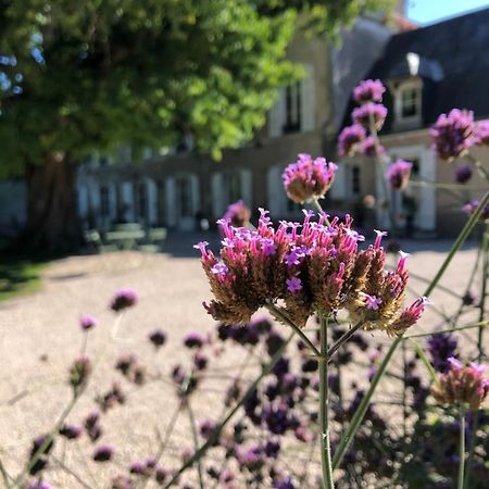 Domaine Saint-Hilaire Hotel Meung-sur-Loire Bagian luar foto