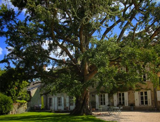 Domaine Saint-Hilaire Hotel Meung-sur-Loire Bagian luar foto