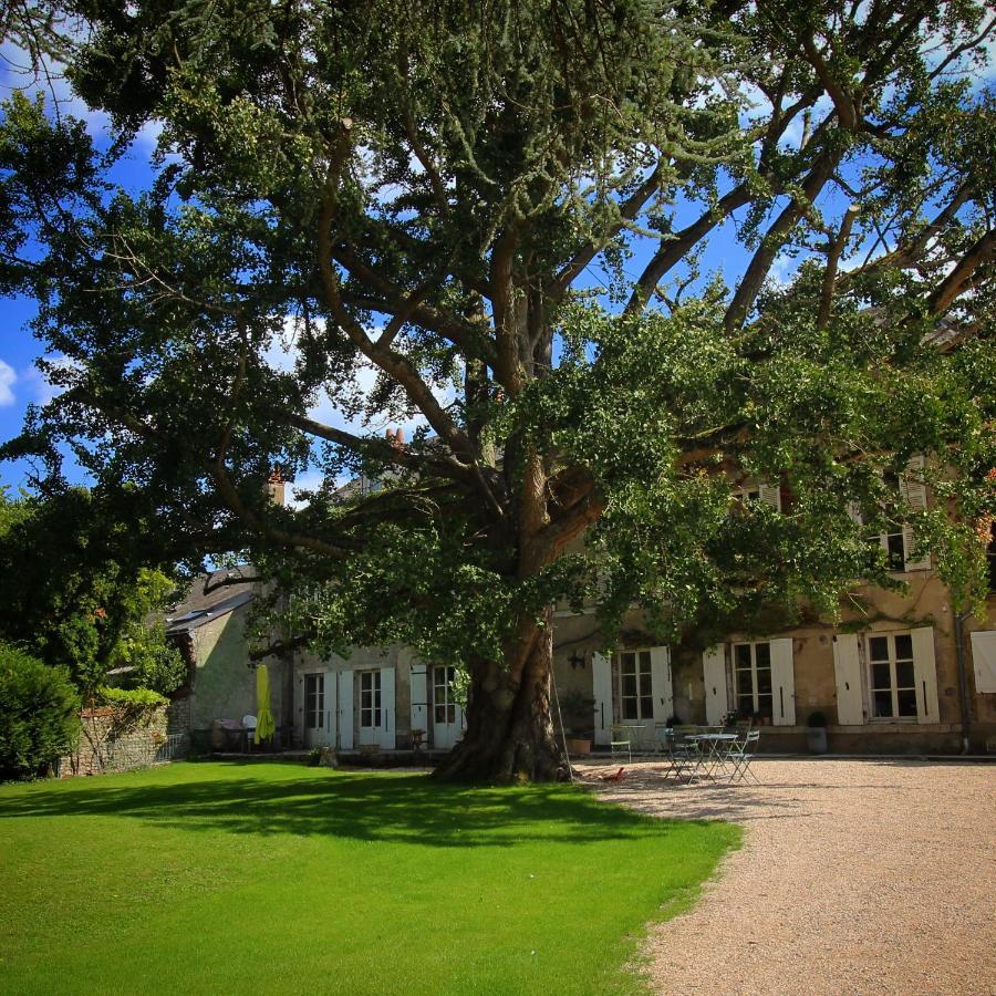 Domaine Saint-Hilaire Hotel Meung-sur-Loire Bagian luar foto