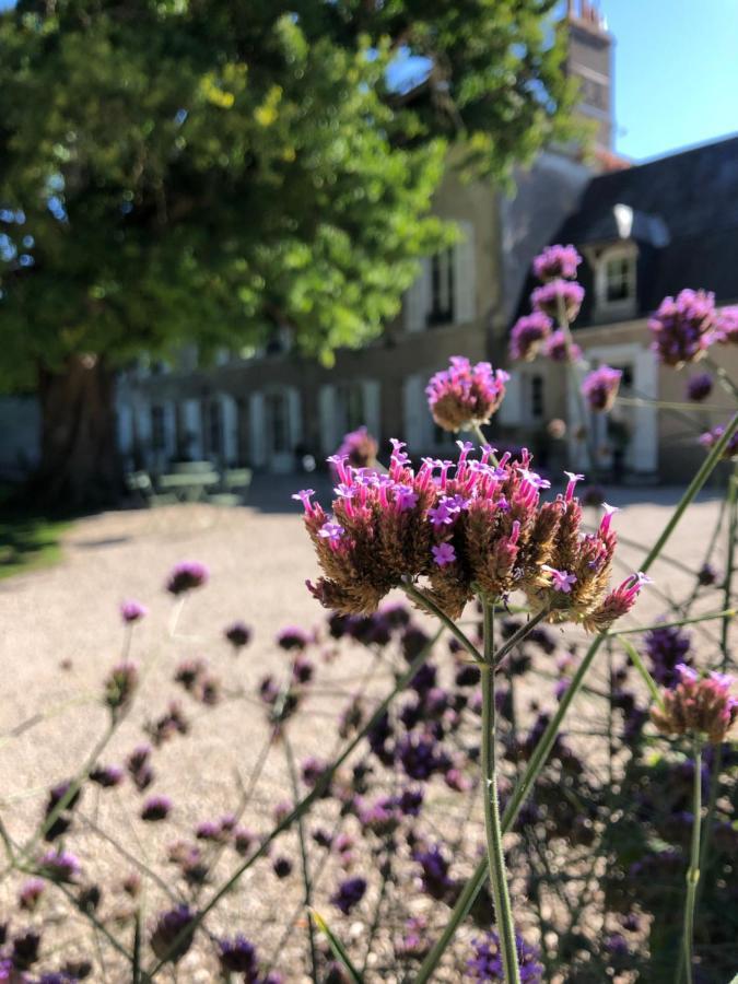 Domaine Saint-Hilaire Hotel Meung-sur-Loire Bagian luar foto